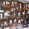 taekwondo019