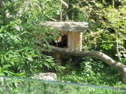 wien2014042