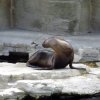 wien2014059