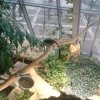 wienwoche253