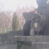 wienwoche305