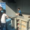 berufsfestival_17_23